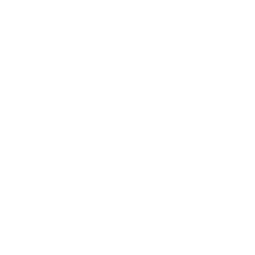 blyzr Logo